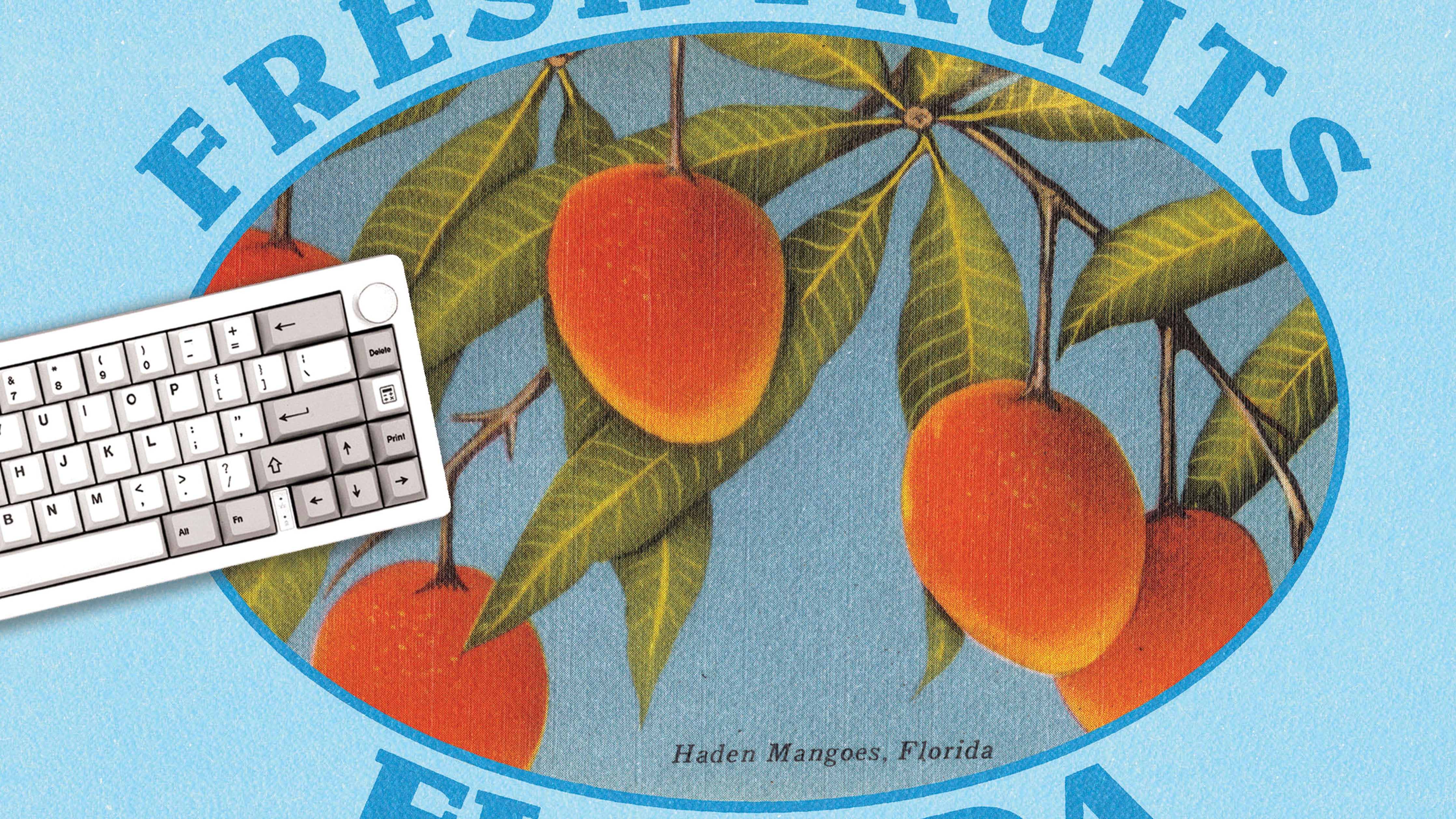 Fresh Fruits Florida - The Mousepad Company