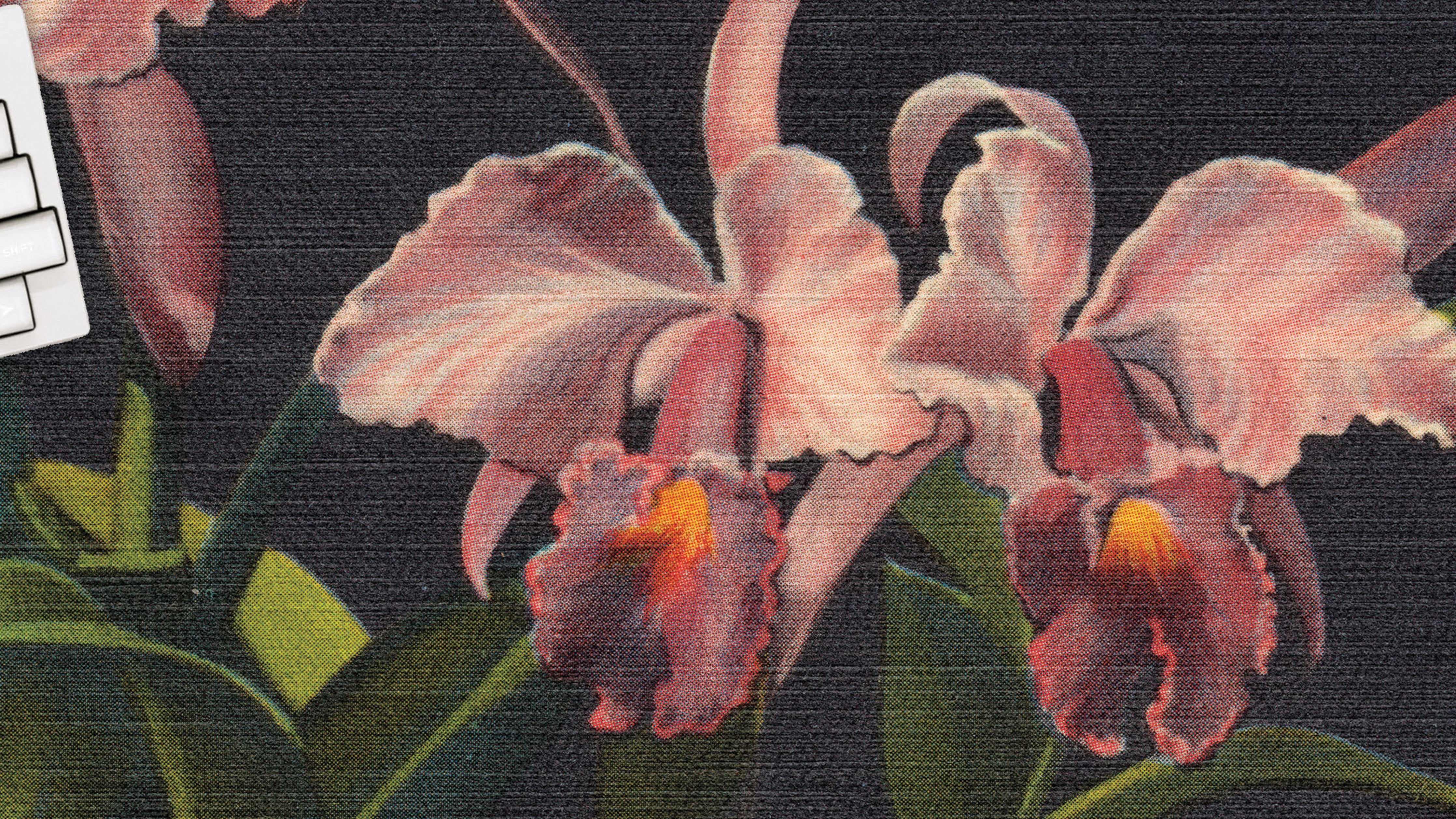 Orchid Jungle - The Mousepad Company